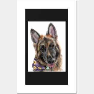 Smiling German Shepherd Dog With Bandanna Posters and Art